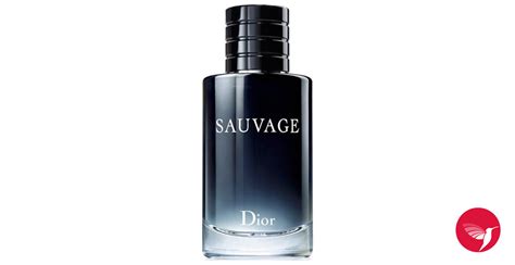 sauvage dior lanzamiento|sauvage dior colonia 2015.